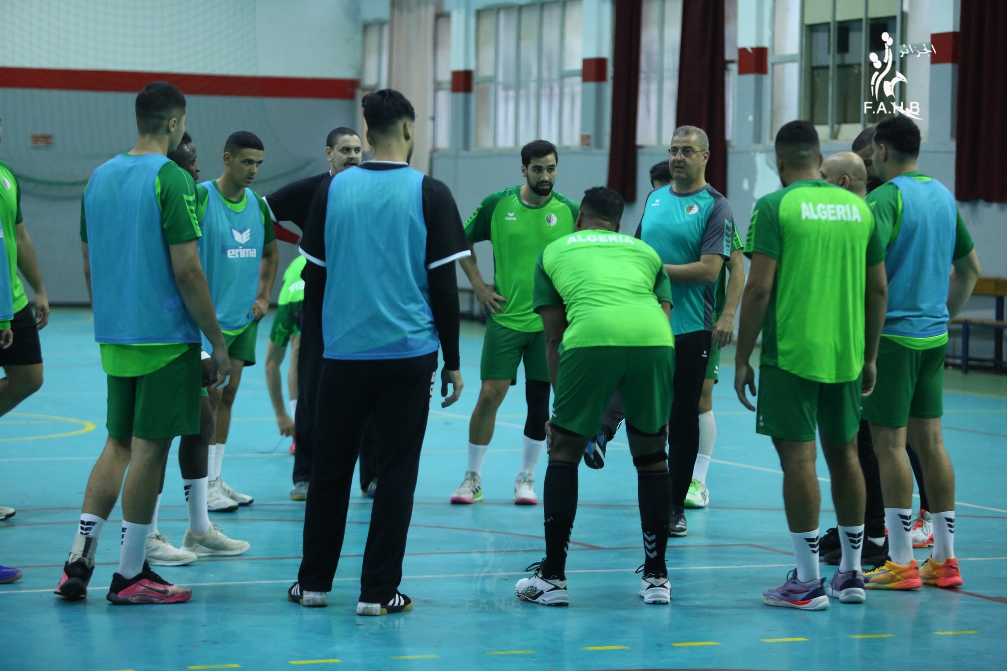 منتخب الجزائر لكرة اليد