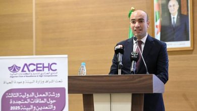 كاتب الدولة لدى وزير الشؤون الخارجية الجزائري، المكلّف بالجالية الوطنية بالخارج، سفيان شايب