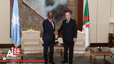 الرئيس الجزائري يؤكد وجود توافق بين الجزائر والصومال حول دعم حق الشعب الفلسطيني في إقامة دولته المستقلة