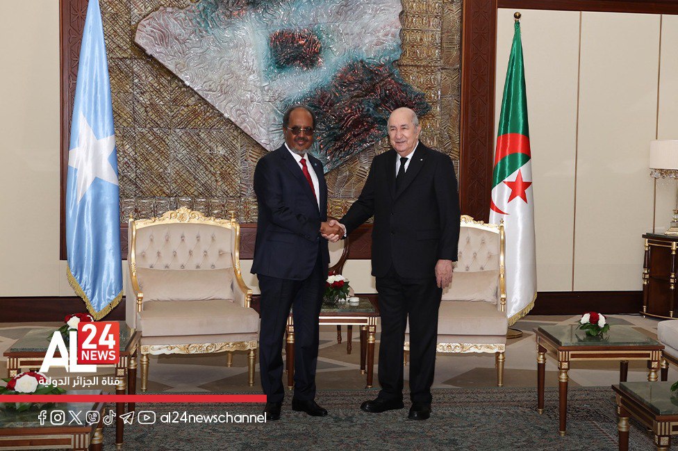 الرئيس الجزائري يؤكد وجود توافق بين الجزائر والصومال حول دعم حق الشعب الفلسطيني في إقامة دولته المستقلة