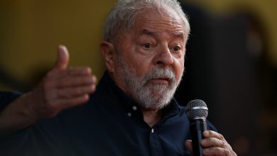 Lula
