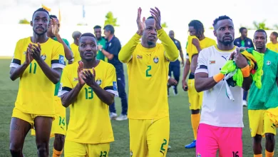 منتخب زيمبابوي