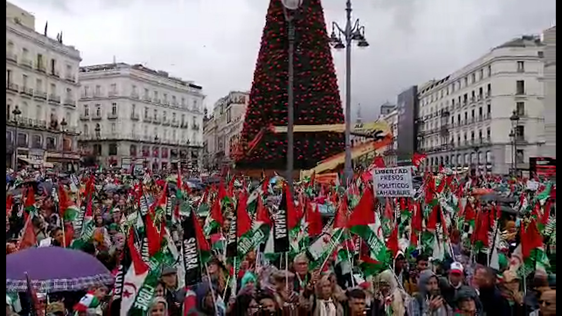 الصحراويون في ذكرى اتفاقية مدريد "المشؤومة".. تمسك بالحق في تقرير المصير