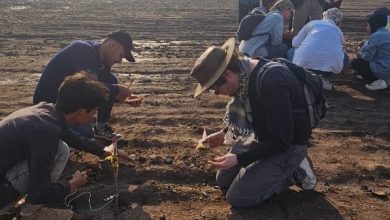 اكتشاف موقع أثري عسكري نادر جنوبي العراق