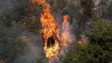 حرائق غير مسبوقة تلتهم غابات لبنان