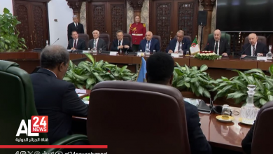 entretiens président algérien homologue somalien délégations