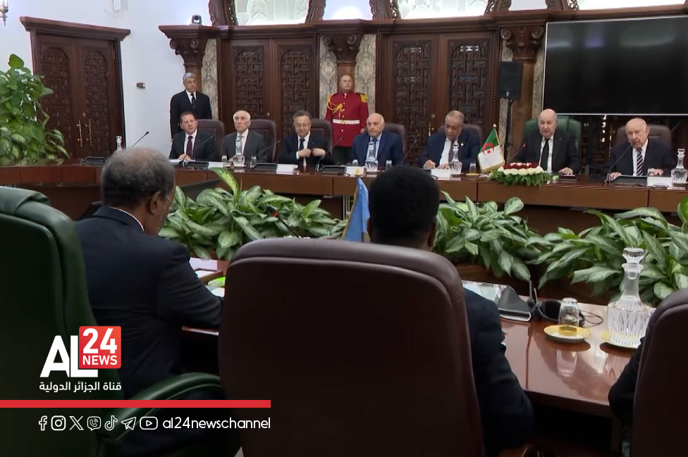 entretiens président algérien homologue somalien délégations