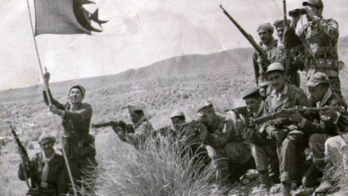 "شاهد 54" ...40 ألف ساعة تحكي ثورة البطولة والكرامة