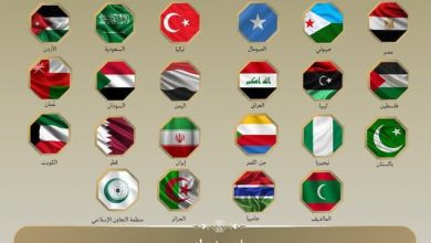 21 دولة عربية وإسلامية تدعم وحدة الصومال وتدين الاعتراف الإسرائيلي