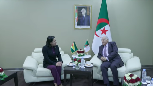 مندوبة غويانا لدى الأمم المتحدة تشيد بالدور الريادي للجزائر في مجلس الأمن