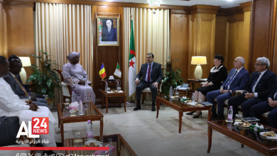 Algérie, Tchad, énergie, coopération