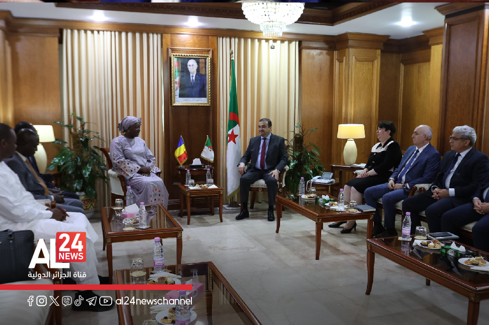 Algérie, Tchad, énergie, coopération