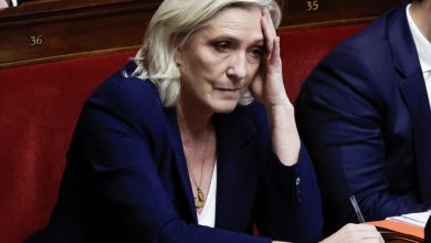 مارين لوبان أمام القضاء