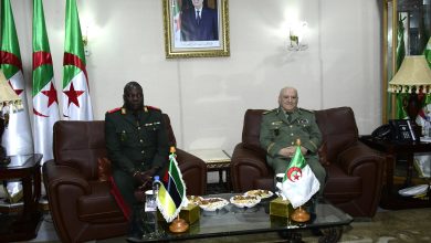 محادثات بين قائدي القوات البرية الجزائرية والموزمبيقية