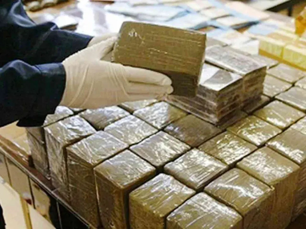 تهريب المخدرات من المغرب