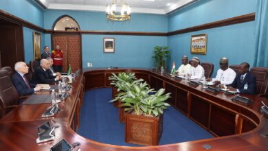 محادثات موسعة بين وزراء من الجزائر والنيجر