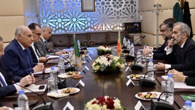 محادثات جزائرية -برتغالية