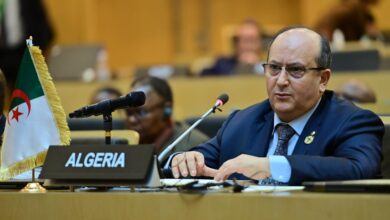 الوزير الأول الجزائري سيفي غريب