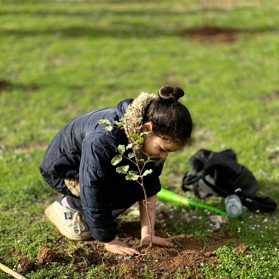 انطلاق أكبر حملة تشجير في الجزائر