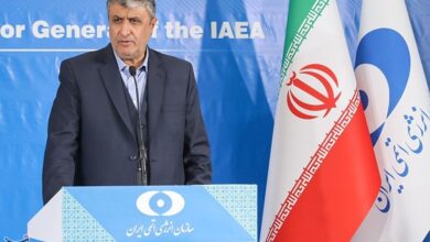 مدير منظمة الطاقة الذرية الإيرانية محمد إسلامي