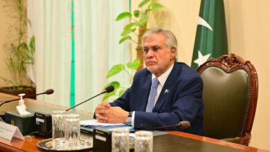 وزير الخارجية الباكستاني إسحاق دار