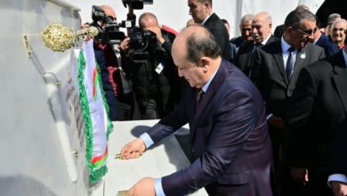 الوزير الأول الجزائري سيفي غريب