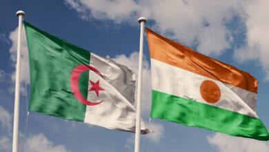 الجزائر والنيجر تبحثان فرص التعاون