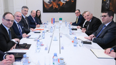 محادثات جزائرية - كرواتية