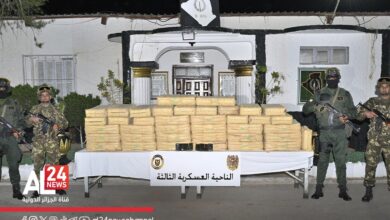 Algérie tentative d’introduction 11 quintaux kif traité Maroc Béchar