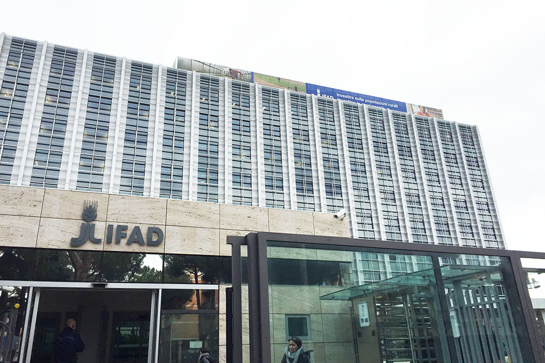 الصندوق الدولي للتنمية الزراعية يحذر من تداعيات التصعيد في الشرق الأوسط