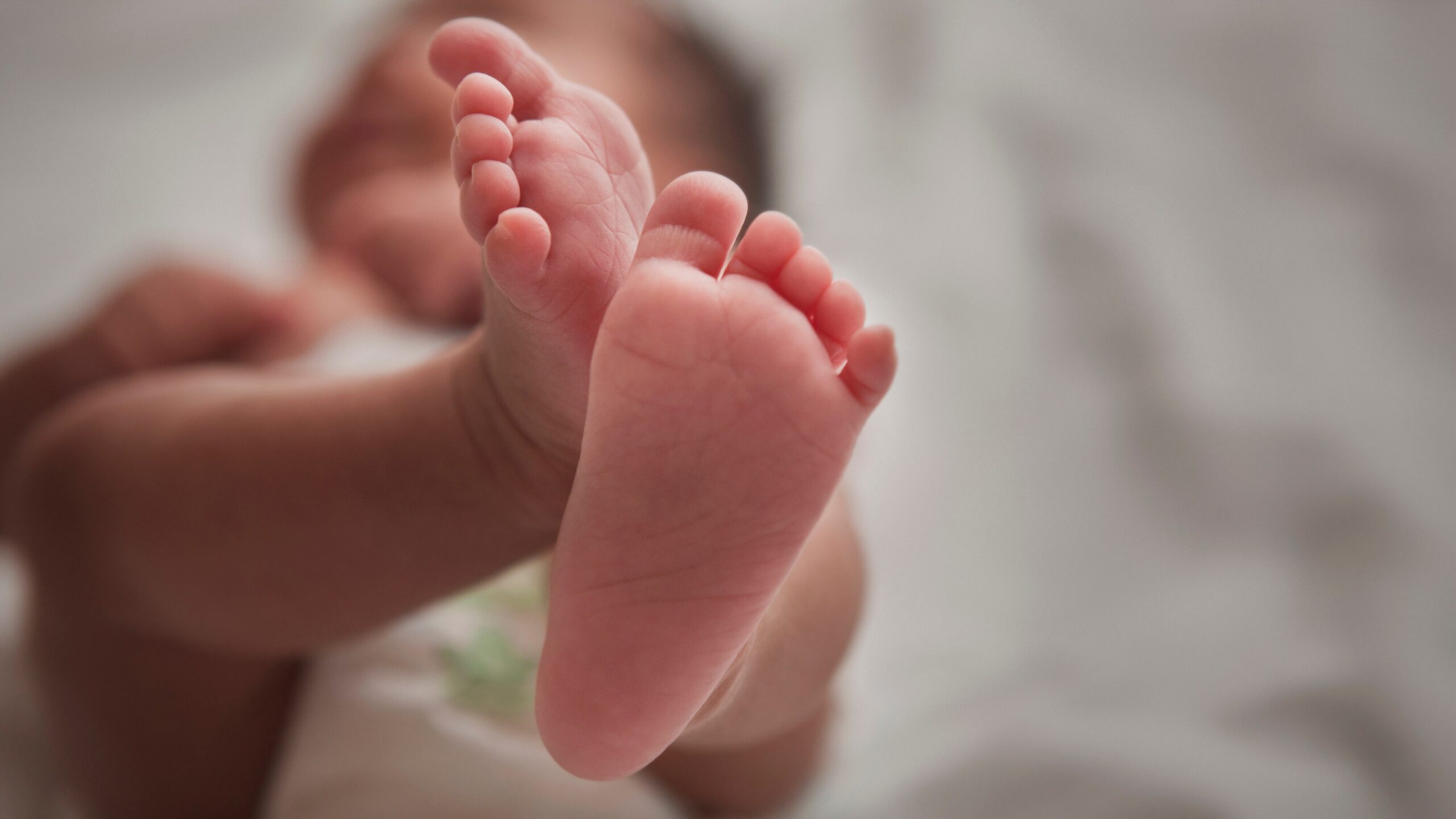 Birth Rate