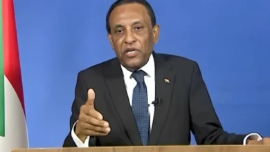 رئيس الوزراء السوداني كامل إدريس