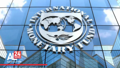 FMI Algérie top 4 des plus grandes économies arabes africaines PPA