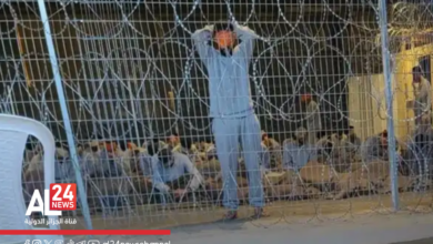 OCI détenus palestiniens prisons occupation sioniste