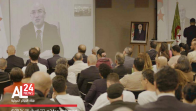 Chaib Ouadah diaspora Suisse opportunités investissement Algérie