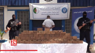 Algérie quintal kif traité Béchar Sidi Bel-Abbès Maroc