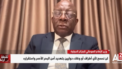وزير الإعلام والثقافة والسياحة الصومالي داود أويس جامع