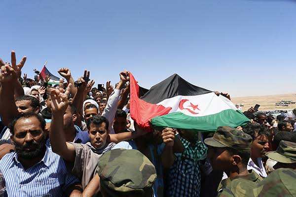 جبهة البوليساريو تحيي ذكرى تأسيسها الـ53