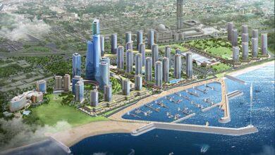 تعزيز جاذبية الجزائر كوجهة استثمارية