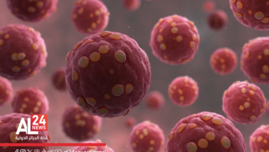 Hantavirus davantage cas Argentine foyer