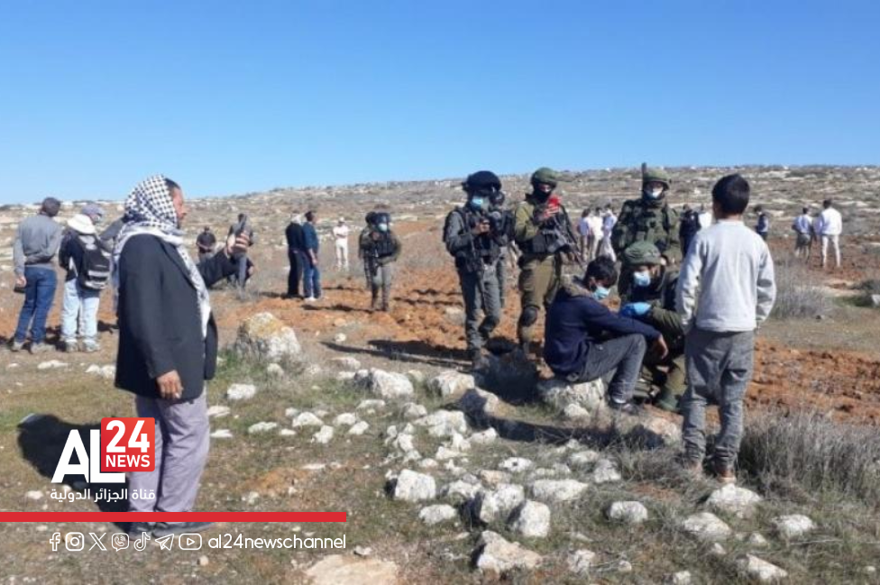 Palestine occupée colons attaquent habitations El Khalil enfant arrêté
