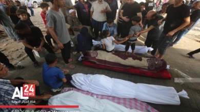 Palestine trois martyrs frappes sioniste Ghaza