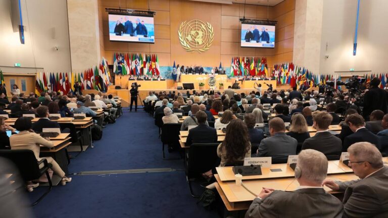 Arab UN Group Urges Action on Israel Violations