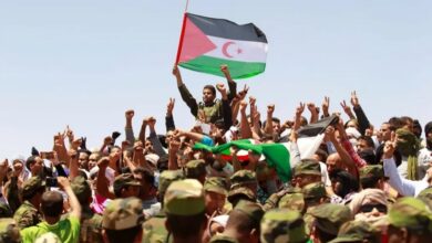 لجنة الـ24 الأممية: منظمات دولية ترافع من أجل حق الشعب الصحراوي في تقرير المصير