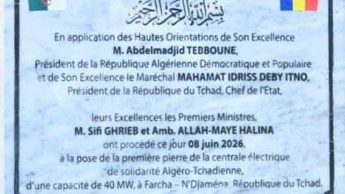 وضع حجر الأساس لإنجاز محطة توليد الكهرباء للتضامن الجزائري - التشادي
