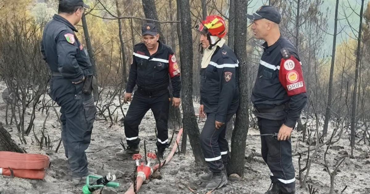 إخماد 42 حريقا من أصل 43 خلال الـ24 ساعة الأخيرة في الجزائر