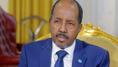 الرئيس الصومالي يشدد على الأهمية الاستراتيجية للحفاظ على وحدة البلاد وسلامة أراضيها