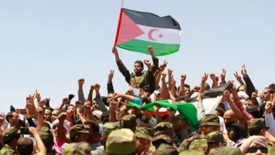 الصحراء الغربية.. تصاعد القلق الدولي إزاء أوضاع المعتقلين السياسيين داخل سجون الاحتلال المغربي
