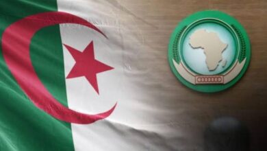 الجزائر تقود أعمال مجلس السلم والأمن للاتحاد الإفريقي خلال شهر أغسطس المقبل