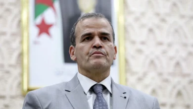 وزر التجارة الخارجية الجزائري يستقبل سفيري أوكرانيا والنمسا